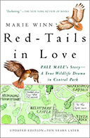 Red-Tails in Love by Marie Winn